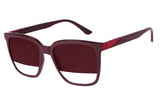 SUNGLASSES - OCCL3369