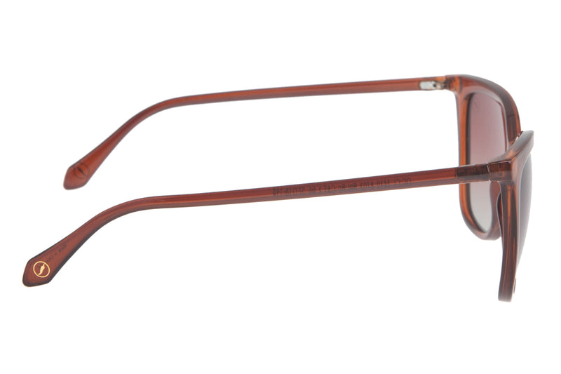SUNGLASSES - OCCL3439