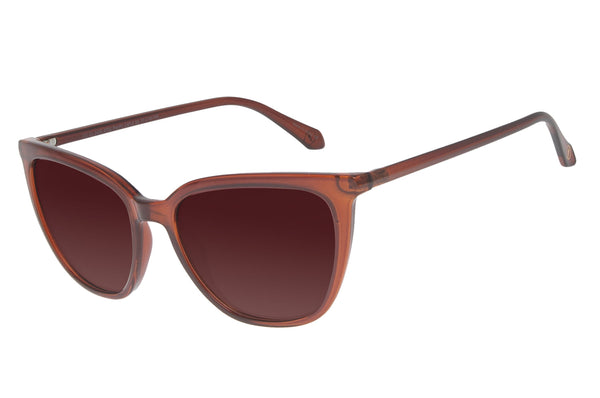 SUNGLASSES - OCCL3439