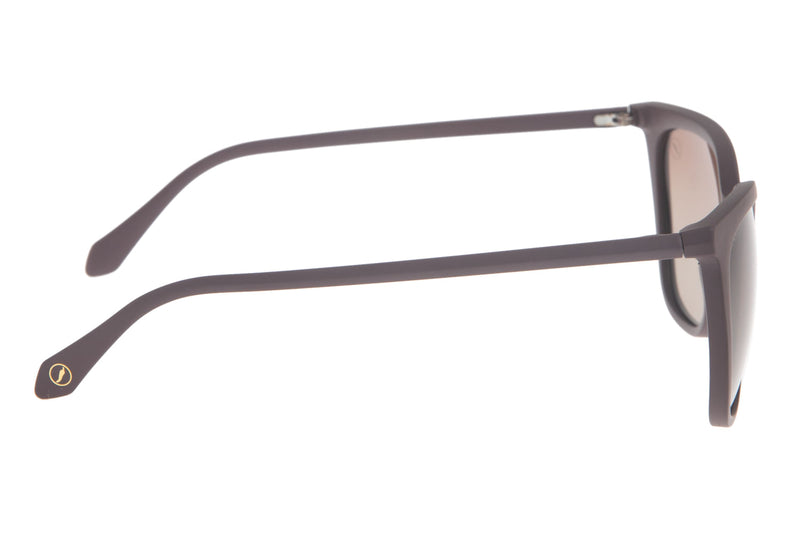 SUNGLASSES - OCCL3439