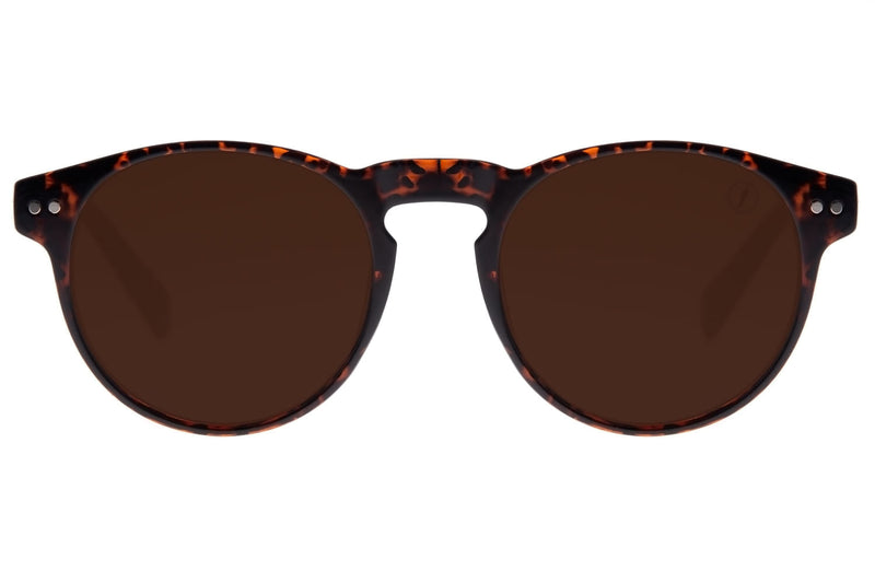 SUNGLASSES - OCCL3450
