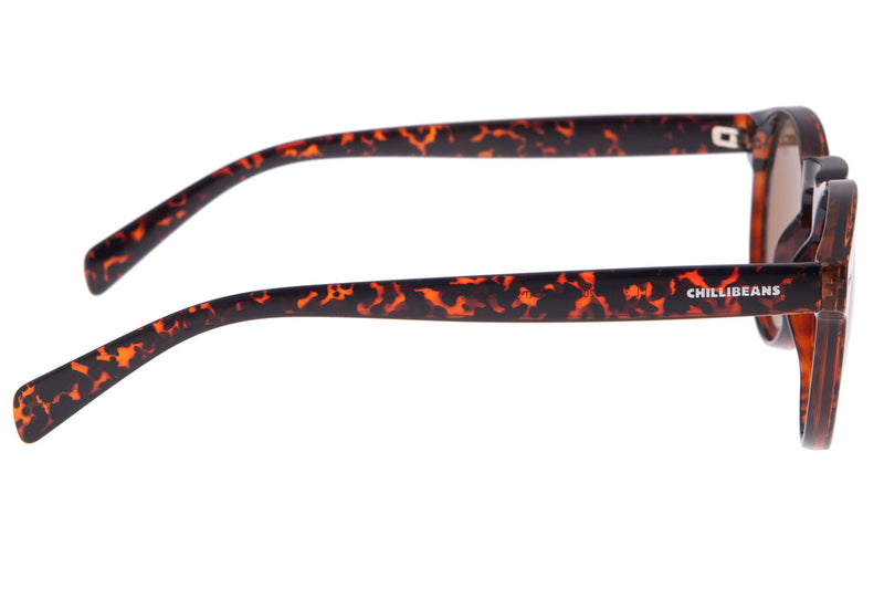SUNGLASSES - OCCL3450