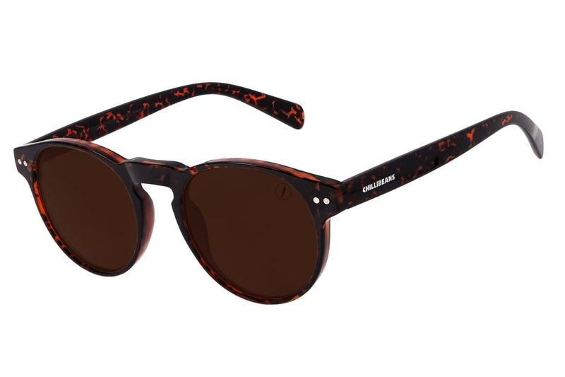 SUNGLASSES - OCCL3450