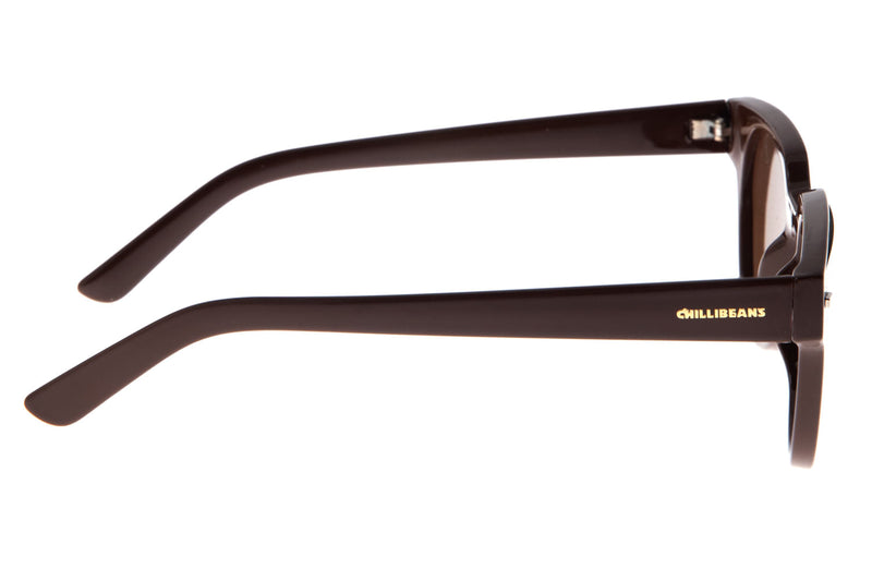 SUNGLASSES - OCCL3457