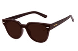 SUNGLASSES - OCCL3457