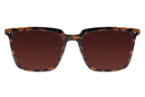 SUNGLASSES - OCCL3460
