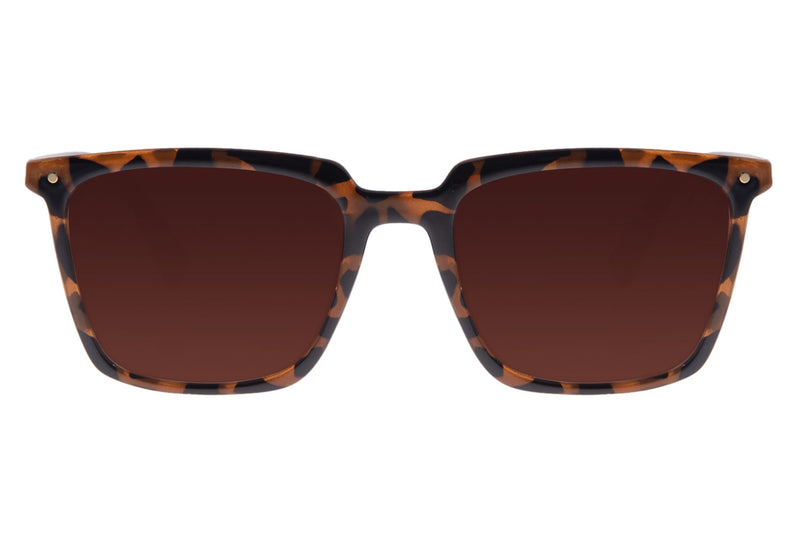SUNGLASSES - OCCL3460