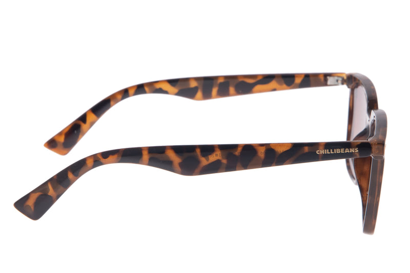 SUNGLASSES - OCCL3460