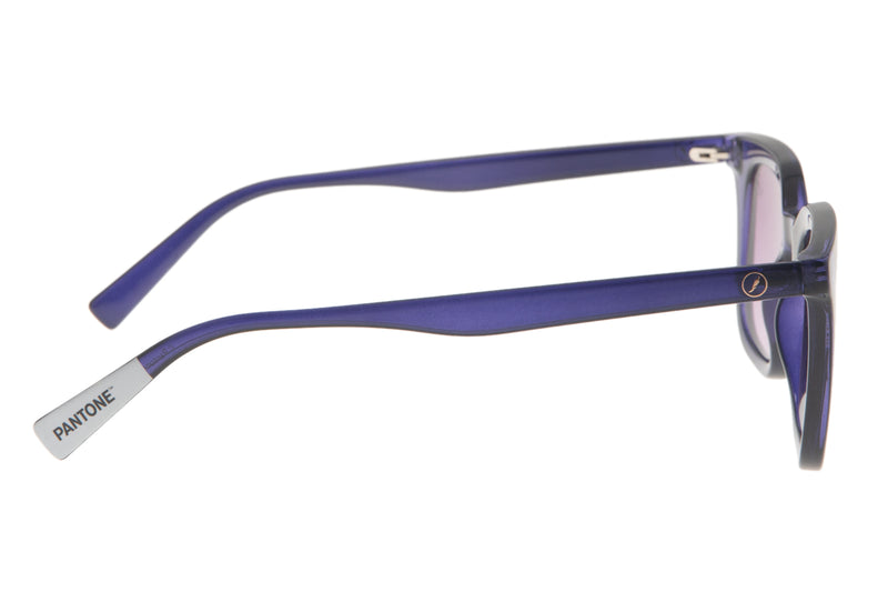 SUNGLASSES - OCCL3469