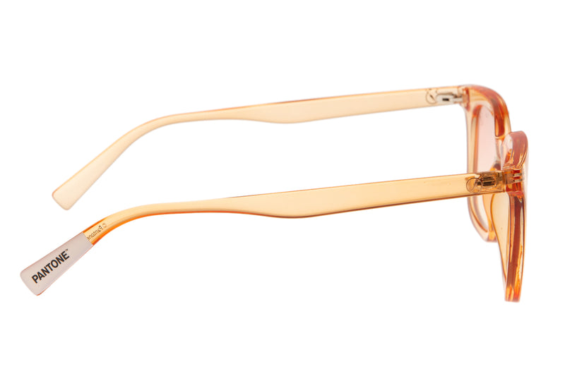 SUNGLASSES - OCCL3469