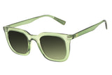 SUNGLASSES - OCCL3469