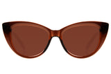 SUNGLASSES - OCCL3501