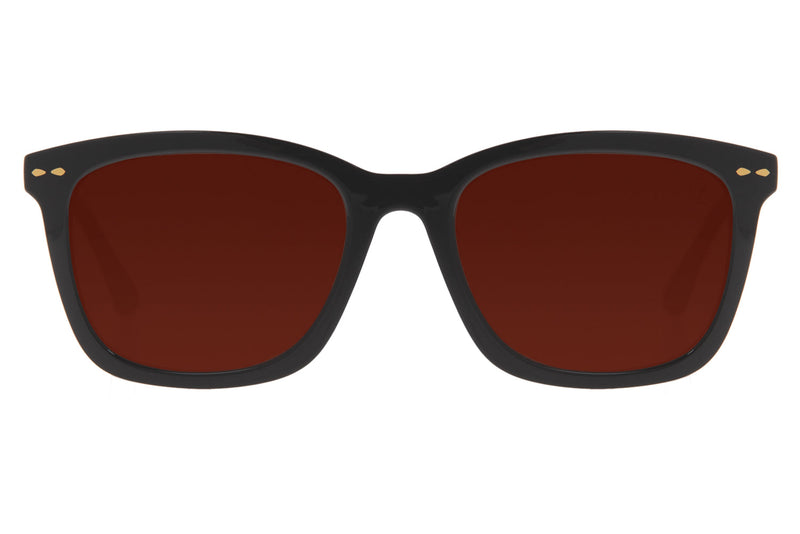 SUNGLASSES - OCCL3519
