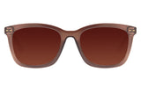 SUNGLASSES - OCCL3519