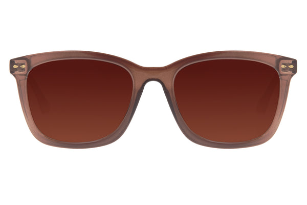 SUNGLASSES - OCCL3519