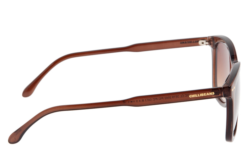 SUNGLASSES - OCCL3519