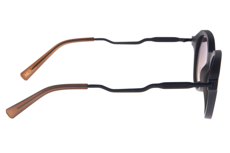 SUNGLASSES - OCCL3571