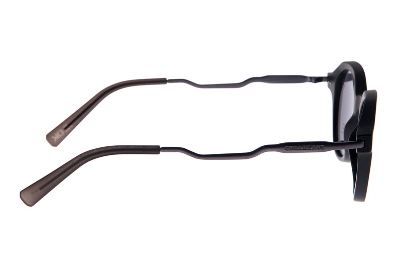 SUNGLASSES - OCCL3571
