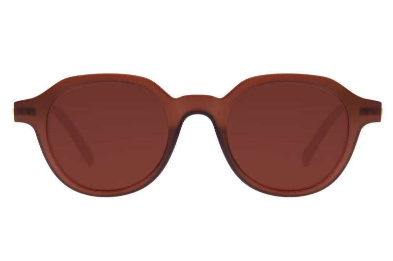SUNGLASSES - OCCL3571