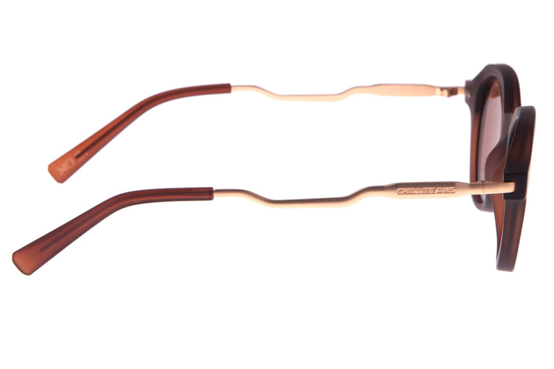 SUNGLASSES - OCCL3571