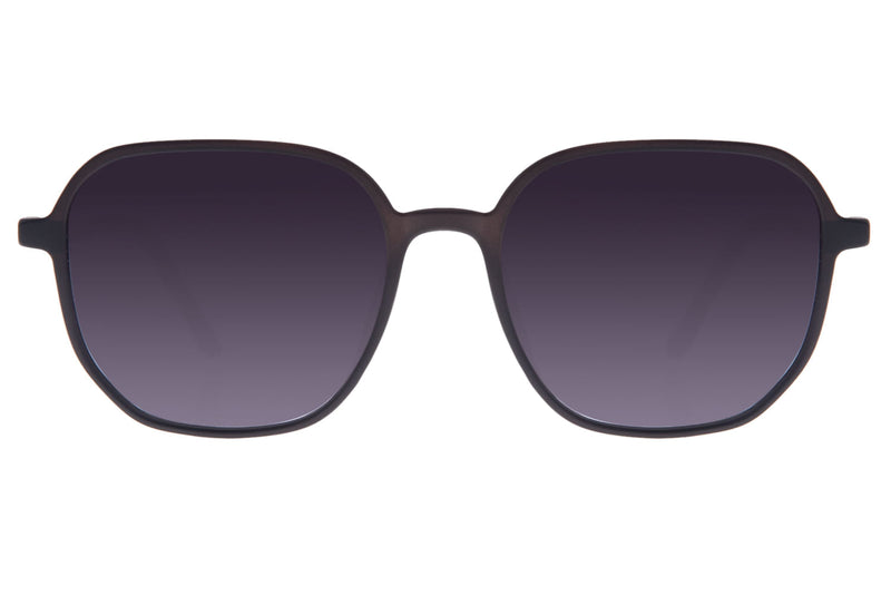 SUNGLASSES - OCCL3576