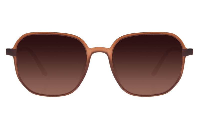SUNGLASSES - OCCL3576
