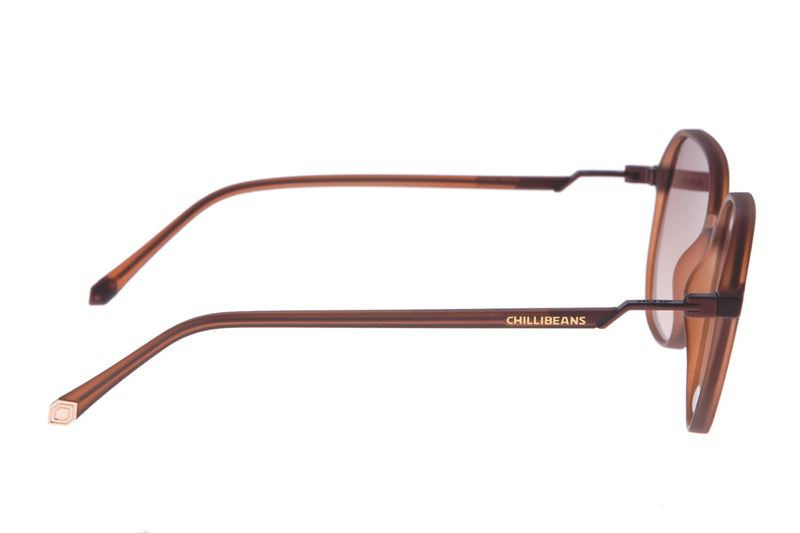 SUNGLASSES - OCCL3576