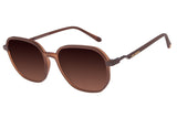 SUNGLASSES - OCCL3576