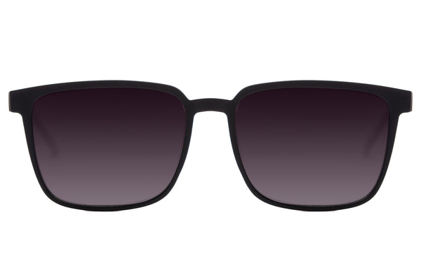 SUNGLASSES - OCCL3582