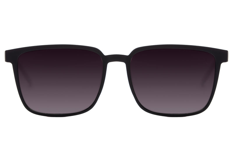 SUNGLASSES - OCCL3582