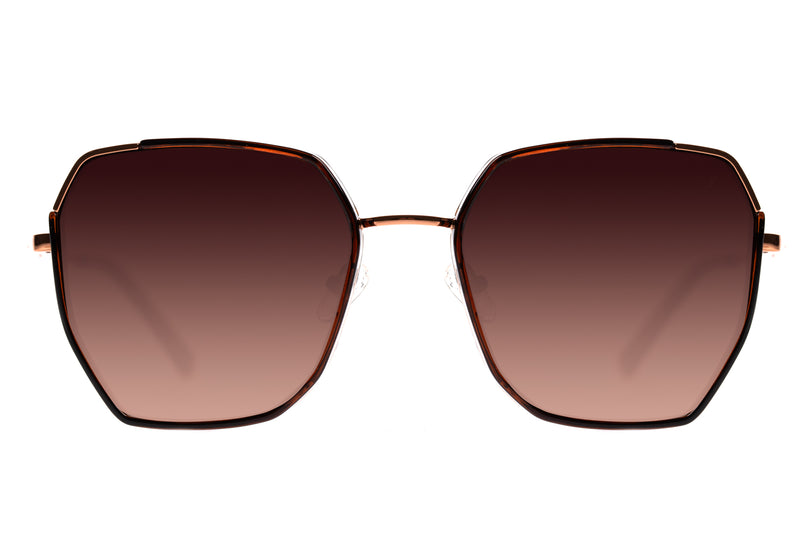 SUNGLASSES - OCCL3595