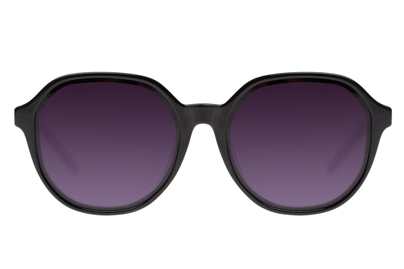 SUNGLASSES - OCCL3597