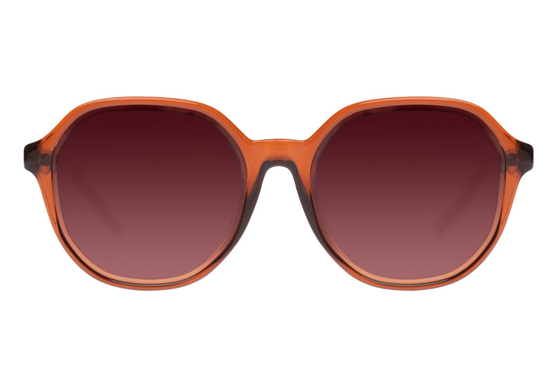 SUNGLASSES - OCCL3597