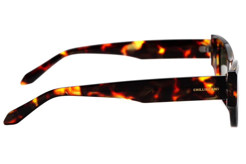 SUNGLASSES - OCCL3721