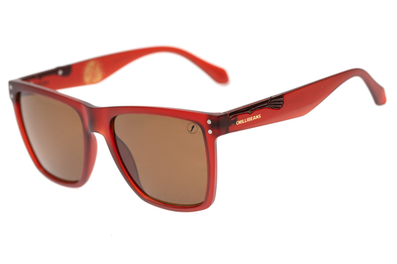 SUNGLASSES - OCCL3776