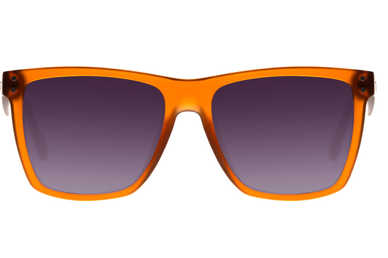 SUNGLASSES - OCCL3776