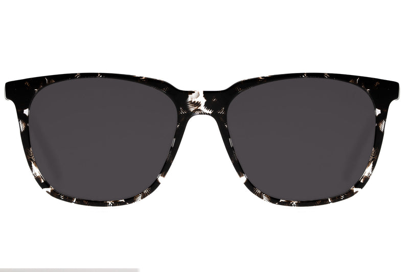 SUNGLASSES - OCCL3777