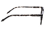 SUNGLASSES - OCCL3777