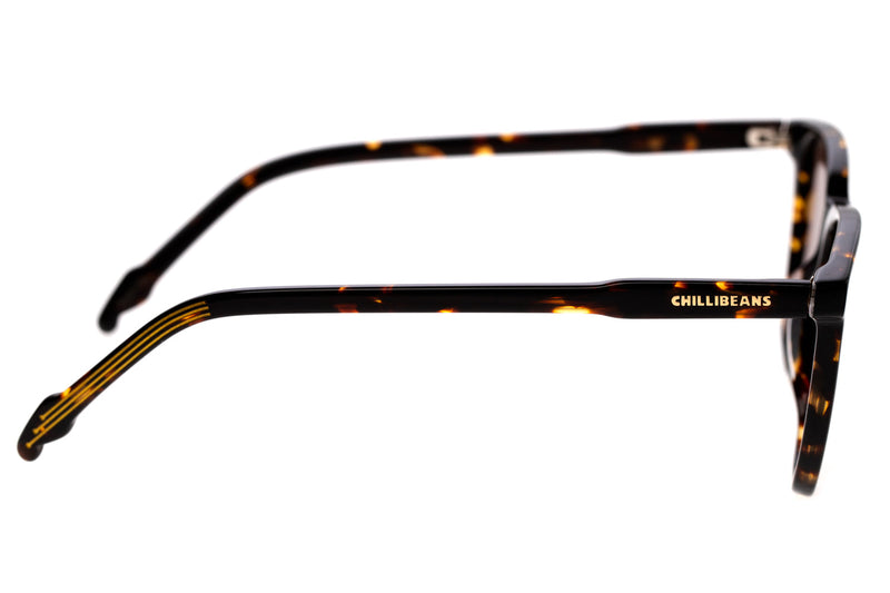 SUNGLASSES - OCCL3777