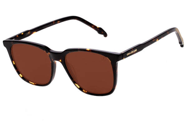 SUNGLASSES - OCCL3777