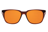 SUNGLASSES - OCCL3777