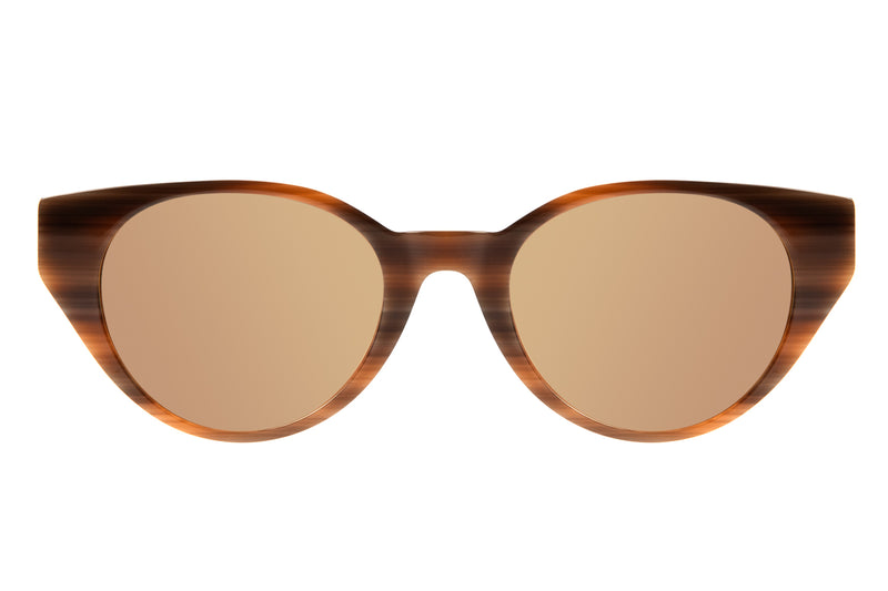 SUNGLASSES - OCCL3801