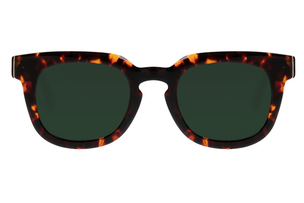 SUNGLASSES - OCCL3821