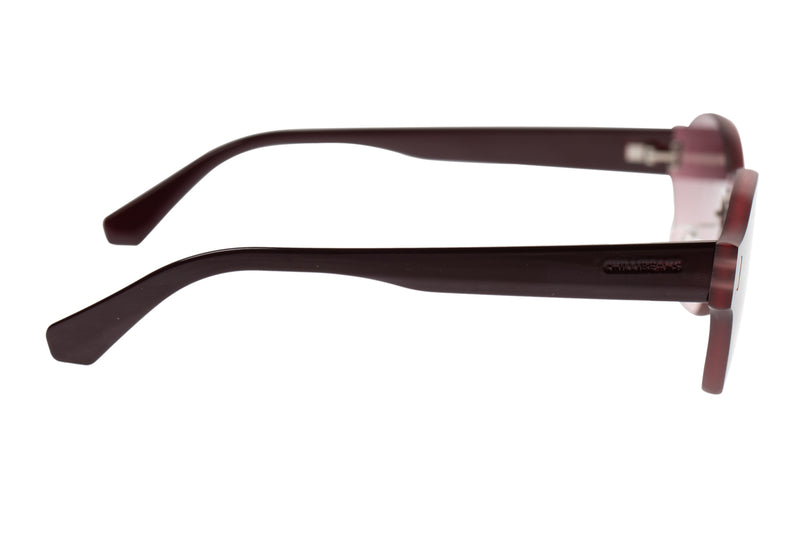 SUNGLASSES - OCCL3836