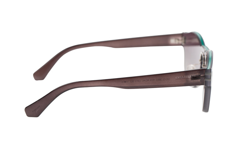 SUNGLASSES - OCCL3843