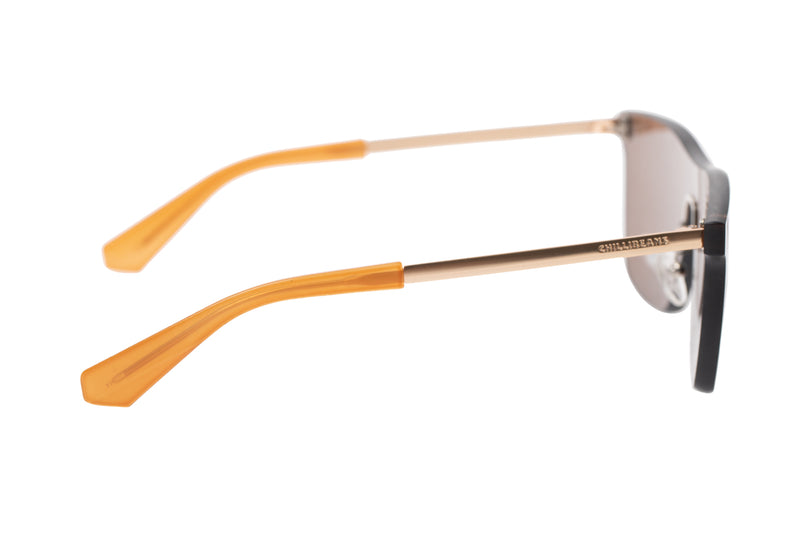 SUNGLASSES - OCCL3844