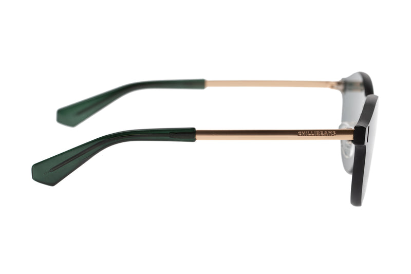 SUNGLASSES - OCCL3849