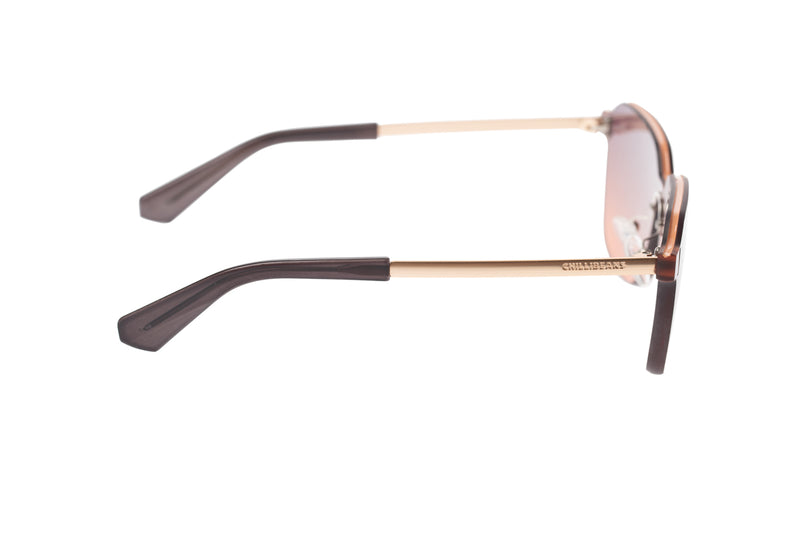 SUNGLASSES - OCCL3850