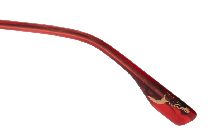 SUNGLASSES - OCCL3854