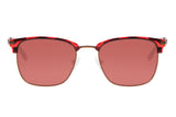 SUNGLASSES - OCCL3854